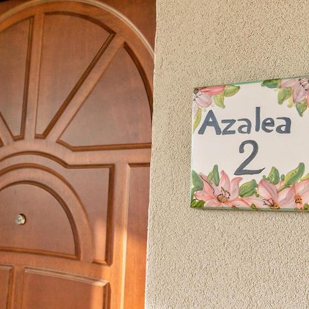 Il Mandorlo Fiorito Bed And Breakfast Ольястро-Чиленто Экстерьер фото