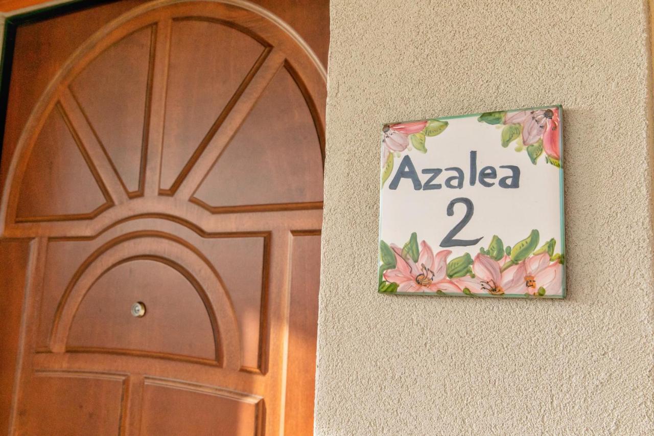 Il Mandorlo Fiorito Bed And Breakfast Ольястро-Чиленто Экстерьер фото
